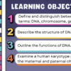 Intro to Genetics - Image 2